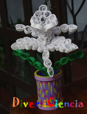 Orquídea