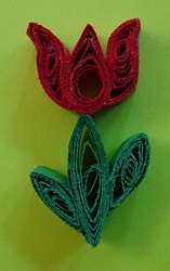 Tulipán
