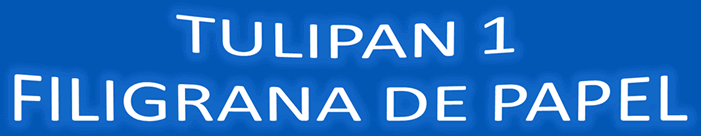 Tulipán