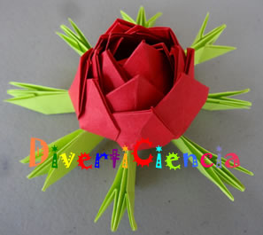 Flor de loto