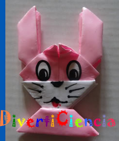Conejo