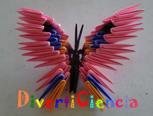 Mariposa