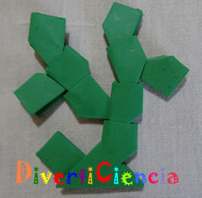 Nopal