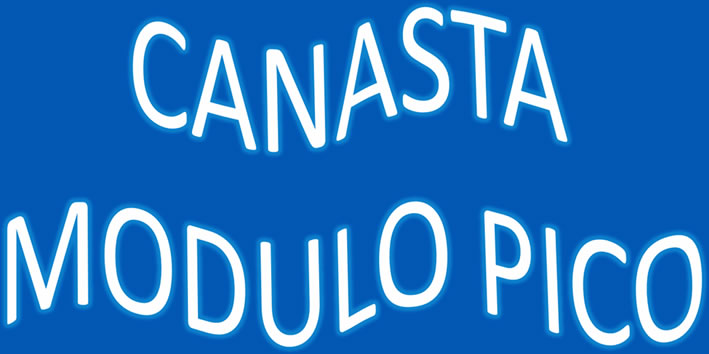 Canasta con Módulo Pico