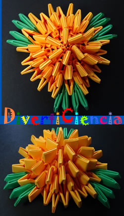 Flor de muerto