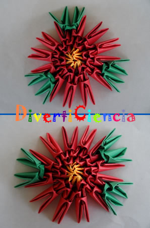Flor de nochebuena