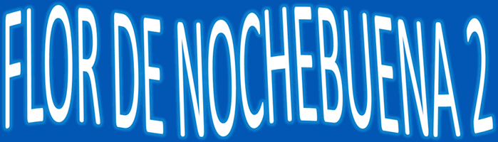 Flor de nochebuena