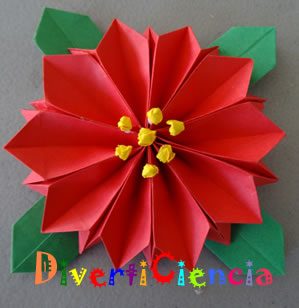 Flor de nochebena
