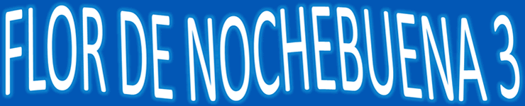 Flor de Nochebuena