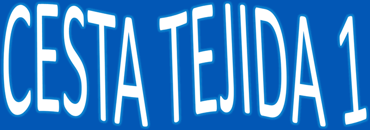 Cesta tejida