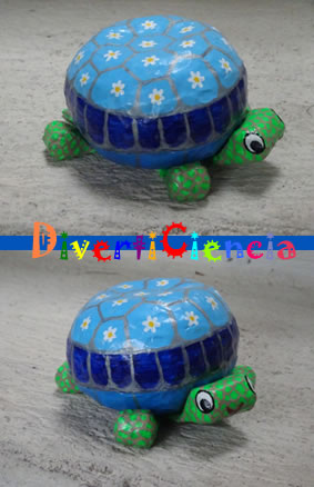 Tortuga