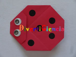 Catarina
