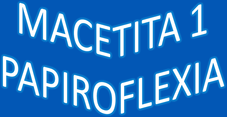 Maceta de papel