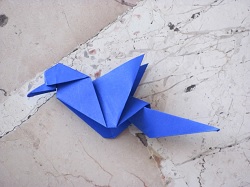 Pajarito