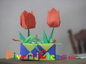 Tulipanes