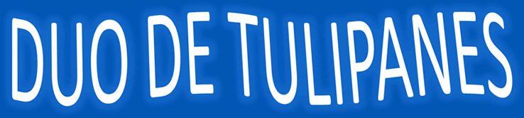 Tulipanes