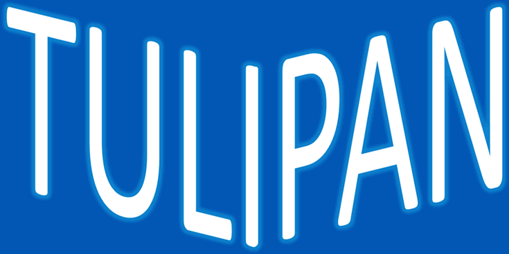Tulipán