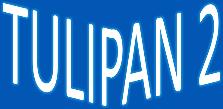 Tulipán