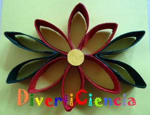 Flor de Nochebuena