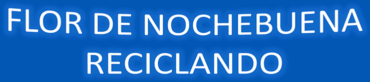 Flor de Nochebuena