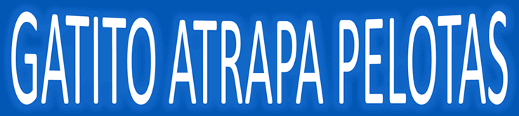 Gatito atrapapelotas