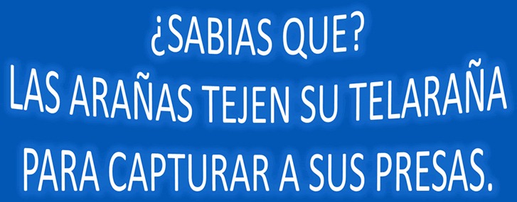 Telarañas