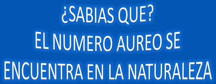 El número Aureo