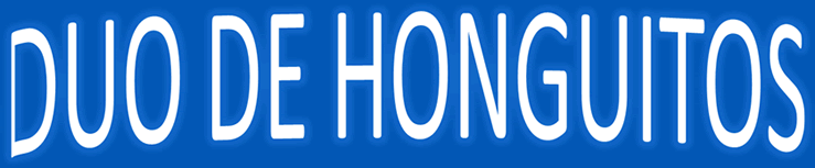 Hongos