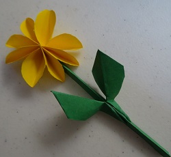 Flor