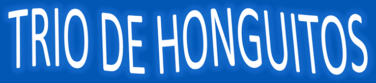 Hongos
